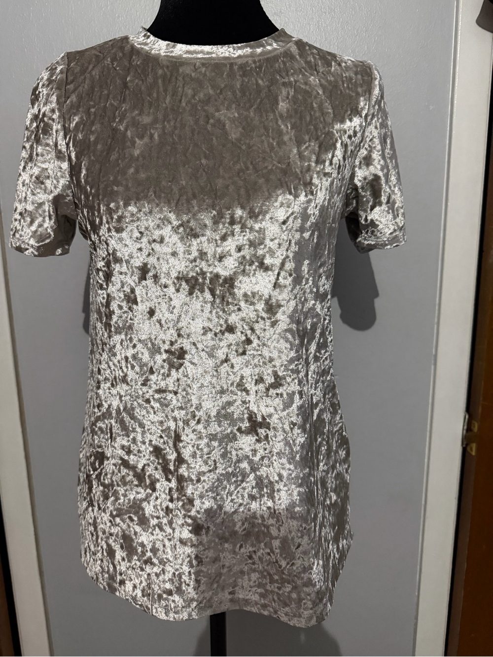 Occasion Crushed Velvet Short Sleeve Top in Silver Taupe